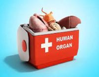 one nation one policy for organ donation