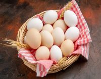 Eggs safe for consumption