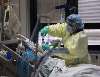 H1N1 infection